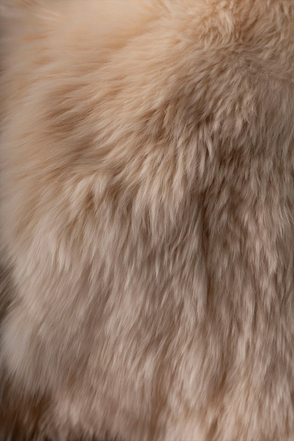 Suri Alpaca Fur Pillow Cover - Image 5
